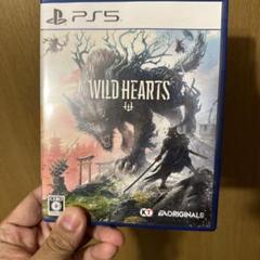 WILD HEARTS