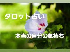 タロット占い