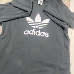 adidas スモーキーグリーン ロゴプリント トレーナー
