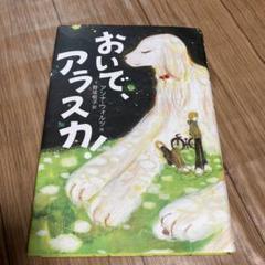 谷口正造 真作　ダンボール箱に落書き　サインあり 谷口正造 真作落書きダンボールサインあり