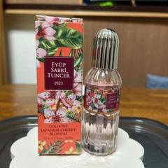 エユプサブリトゥン japanese cherry blossom