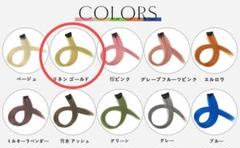エクステ ワンタッチ メッシュ ウィッグ ロング カラー 5本 ゴールド 金