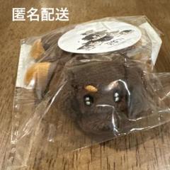 レア★BTSグクトゥギ ラゲージバッグ(タグ付き)モックニム　限定　新品未使用 レア☆BTSグクトゥギ ラゲージバッグ(タグ付き)モックニム 限定