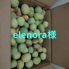 紀州田辺ちっぽけな畑の南高梅10キロ⭐︎傷あり傷無L.2L混合です⭐︎