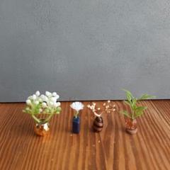 植物4点　24.3-26　ミニチュア雑貨