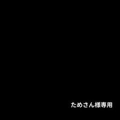 50%OFF ブリヂストンX5000ツアーステージ9番アイアンゴルフクラブ中古 クラブ