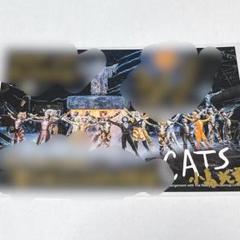 2025年最新】劇団四季 キャッツ ポストカードの人気アイテム