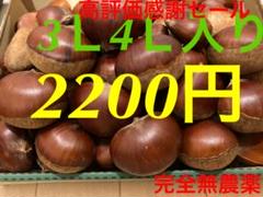 ベトナム新鮮ドリアン激安セット割2玉(訳あり品 - メルカリ
