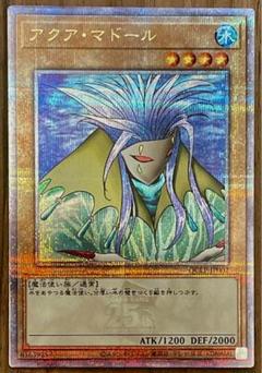 2025年最新】遊戯王 リミテッドパック アクアマドールの人気