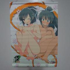 閃乱カグラ 焔&飛鳥 描き下ろし A3 タペストリー