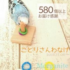 楽しくコミュニケーション♪ことりさんわなげ
