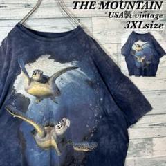 【ダメージ感】THE MOUNTAIN USA製 タイダイ柄 Tシャツ 3XL
