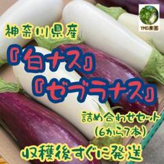 2025年最新】茄子の人気アイテム - メルカリ