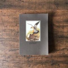 洋書　古書　1923年初版　希少　美しい鳥図鑑　アンティーク　歴史ある図鑑　画集 イギリスのヴィンテージ鳥図鑑 1960年代 鳥の図鑑 古書⑤ - メルカリ