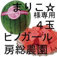 ４・福井県・まりこ☆・ピノガール 4・福井県・まりこ☆様専用・ピノガール - メルカリ