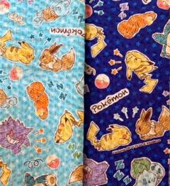 廃盤品レア2枚組❣️ポケモンリップル生地☆55×25cm×2☆マスクに☆