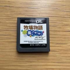 DS 牧場物語　ようこそ　風のバザールへ