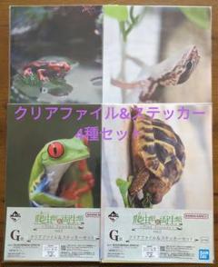 爬虫類＆両生類 1番くじ G賞 クリアファイル&ステッカーセット 4点