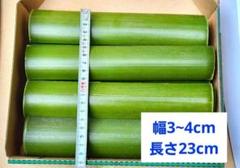真竹 夏休み 自由研究 24cm 22本 天然青竹 工作 農薬不使用 節なし