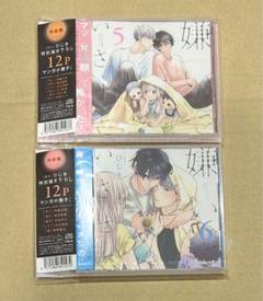 嫌いでいさせて CD