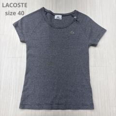LACOSTE ラコステ 半袖 Tシャツ ボーダー 40