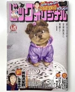 ビッグオリジナル 1533号 12 2025年6月20日発行