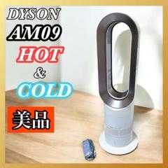 Amazon.com: Dyson Hot+Cool Fan Heater AM09 Black/Nickel