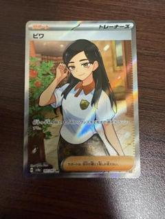 本日限定価格　　カシオペアSAR ブライア SAR タロ SR ビワ SR 本日限定価格 カシオペアSAR ブライア SAR タロ SR ビワ SR