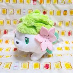 2025年最新】ポケモンセンター シェイミ ぬいぐるみの人気