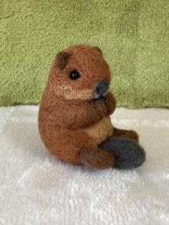 羊毛フェルト まん丸アメリカビーバーの赤ちゃん