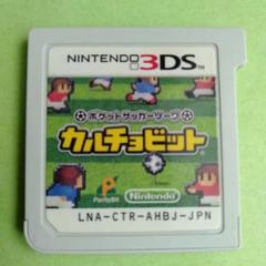 3DS ポケットサッカーリーグ カルチョビット
