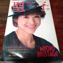 昭和57年 明星特別編集 松田聖子B4写真集～折込ポスター 全記録250カット 最新作の 昭和57年 明星特別編集 松田聖子B4写真集～折込