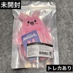 チャンビン 抱きぬいぐるみ stray kids skzoo トゥエッキ