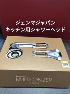 ジェンマジャパン　　シャワーヘッド　シャワーグローブ1組付き ジェンマジャパン GEMMOVE マルチイオナイザー シャワーヘッド