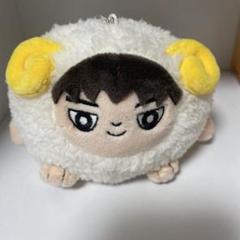 宮世琉弥 ぬいぐるみセット りゅびぐるみ りゅびぐるみ（かわうそver.）宮世琉弥 ぬいぐるみ 美品 - メルカリ