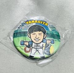 特別オファー 2025年最新】柳田悠岐 メルカリ - 缶バッジの人気アイテム 記念グッズ