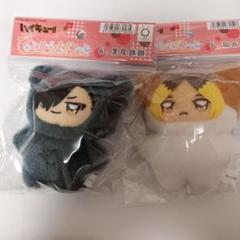 ハイキュー‼︎ ちみもけマスコット 孤爪研磨 黒尾鉄朗 ハイキュー ちみけもマスコット 音駒セット 黒尾鉄朗 孤爪研磨