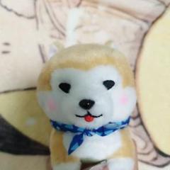 豆柴三兄弟　ぬいぐるみ