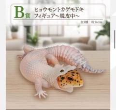 2025年最新】爬虫類一番くじの人気アイテム - メルカリ
