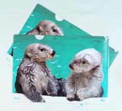 新品 鳥羽水族館 ガチャ アクスタ コンプリート ラッコ メイ キラ セレナ 新品 鳥羽水族館 ガチャ アクスタ コンプリート ラッコ メイ