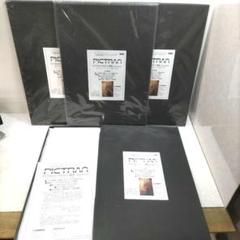 【新品】印刷用紙 ピクトラン フレスコ 壁画 DFP-FR-A3+ 2枚入り4箱 新品】印刷用紙 ピクトラン フレスコ 壁画 DFP-FR-A3+ 2枚入り4
