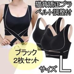 ラスト一点！猫背矯正ブラ 2枚セット L ノンワイヤー ナイトブラ ブラック