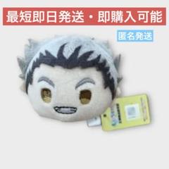 木兎光太郎 ハイキュー!! もちマス もちもちマスコット Amazon.co.jp: 木兎光太郎 もちもちマスコット もちマス