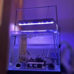 引き取り限定大型アクリル水槽 セット 最終値下げ] アクリル水槽セット 90cmx45cmx50cm