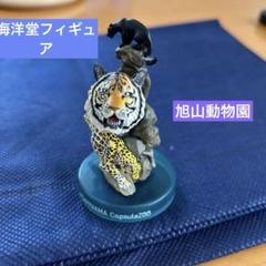 2025年最新】旭山動物園 ガチャの人気アイテム - メルカリ