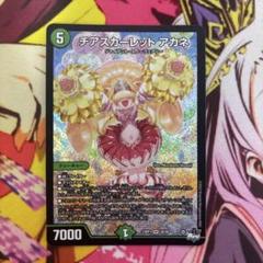 チアスカーレット アカネ 1枚 - メルカリ