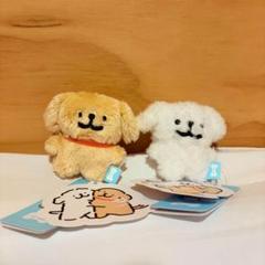 n様専用♡韓国Malteseぬいぐるみマスコット マルチーズ