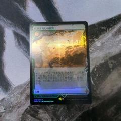 【メーカー直売】 MTG 吹きさらしの荒野 Foil エクスペディション・ボックス マジック：ザ・ギャザリング