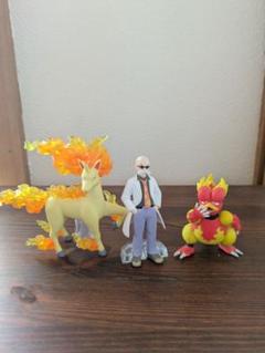 2025年最新】ポケモンスケールワールド カツラの人気アイテム