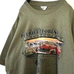 エコマウンテン PETRIFIED フォレスト Tシャツ グリーン 緑 古着